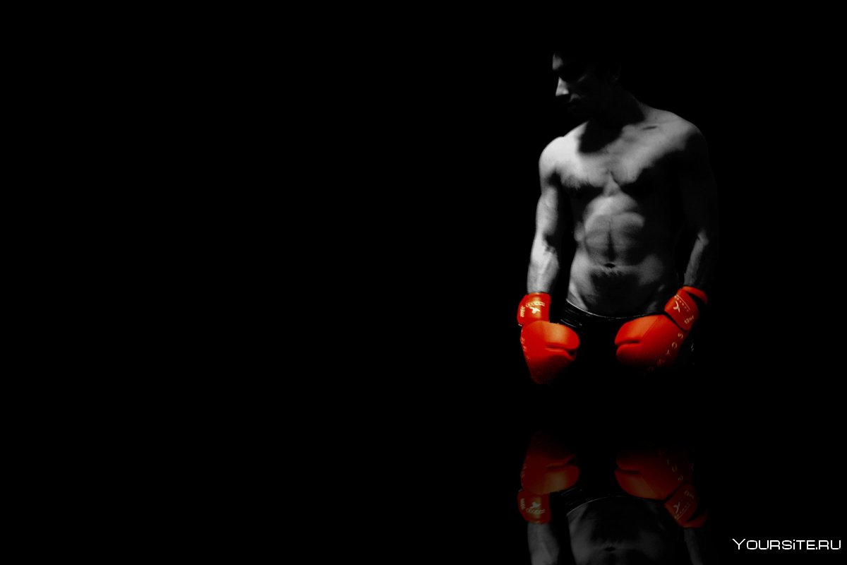 Боксер на черном фоне