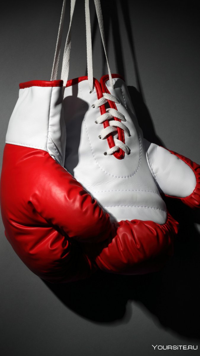 Боксерские перчатки Майкл Джордан