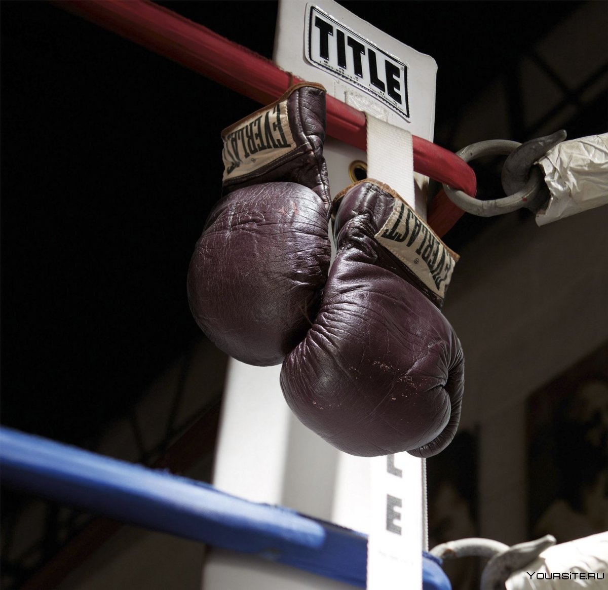 Боксёрские перчатки Muhammad Ali