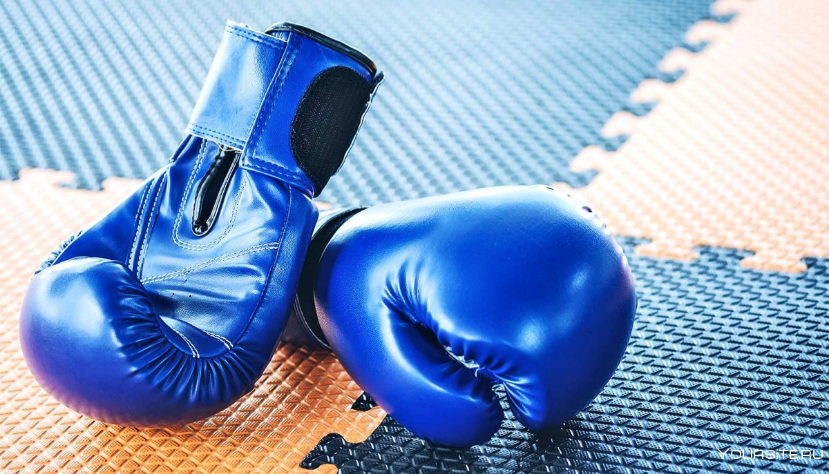 Боксерские перчатки на голубом фоне