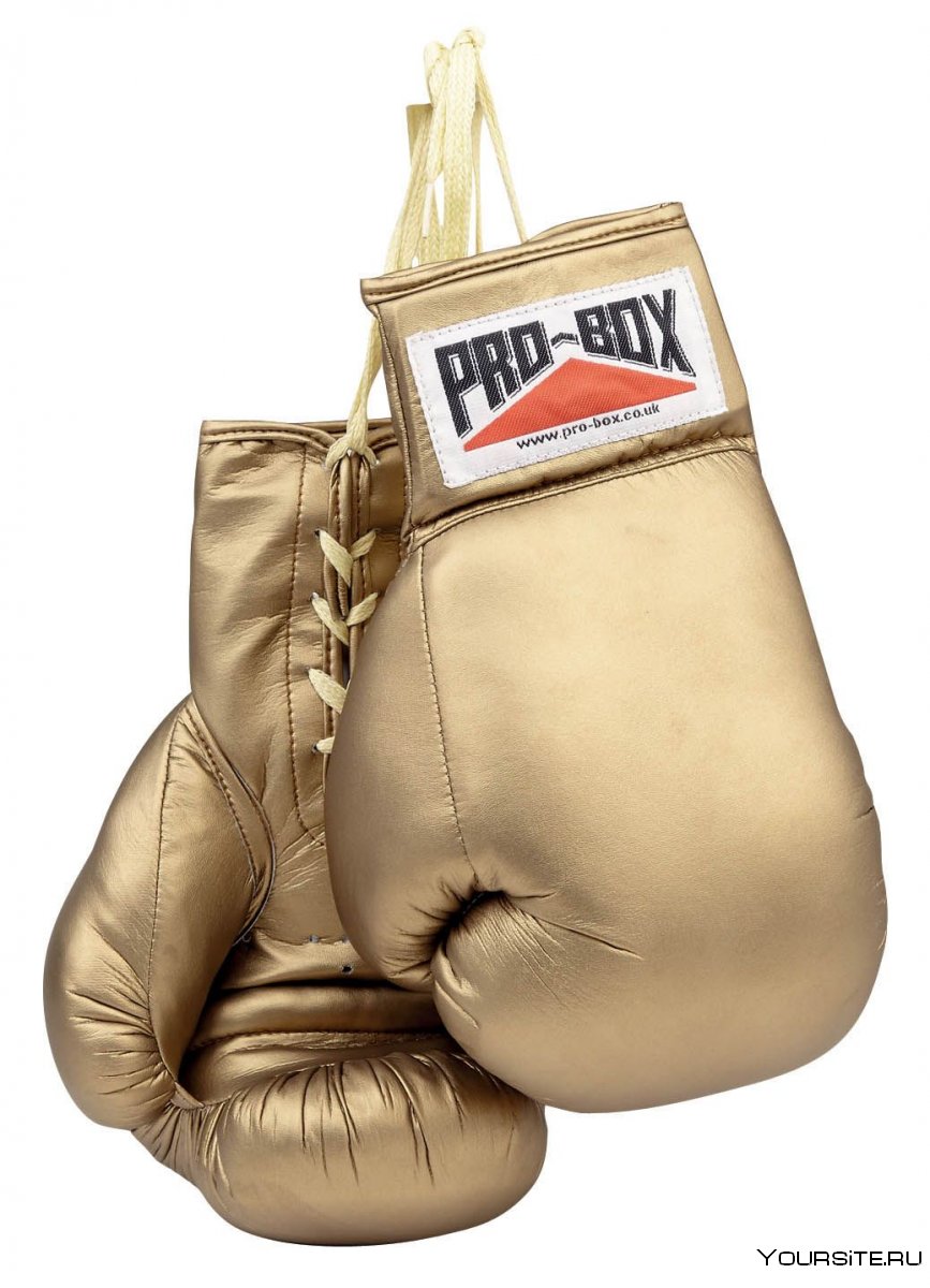 Золотые перчатки бокс