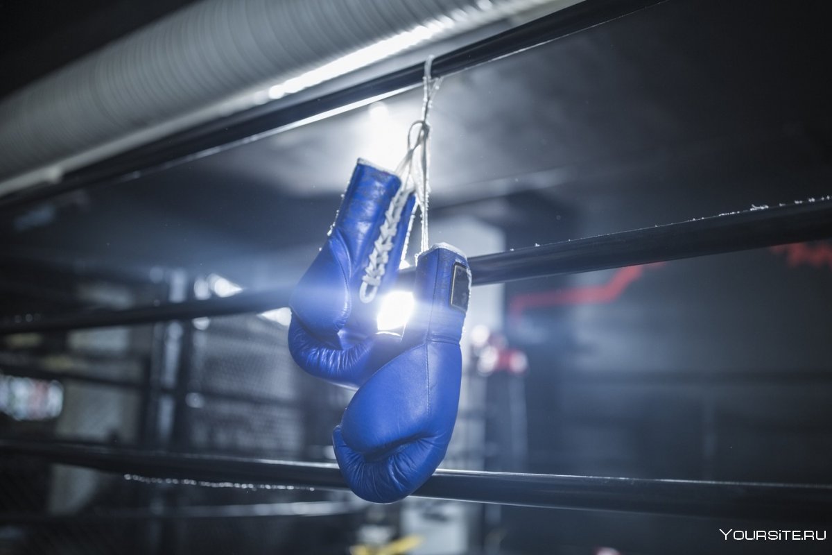 Боксёрские перчатки висят на ринге