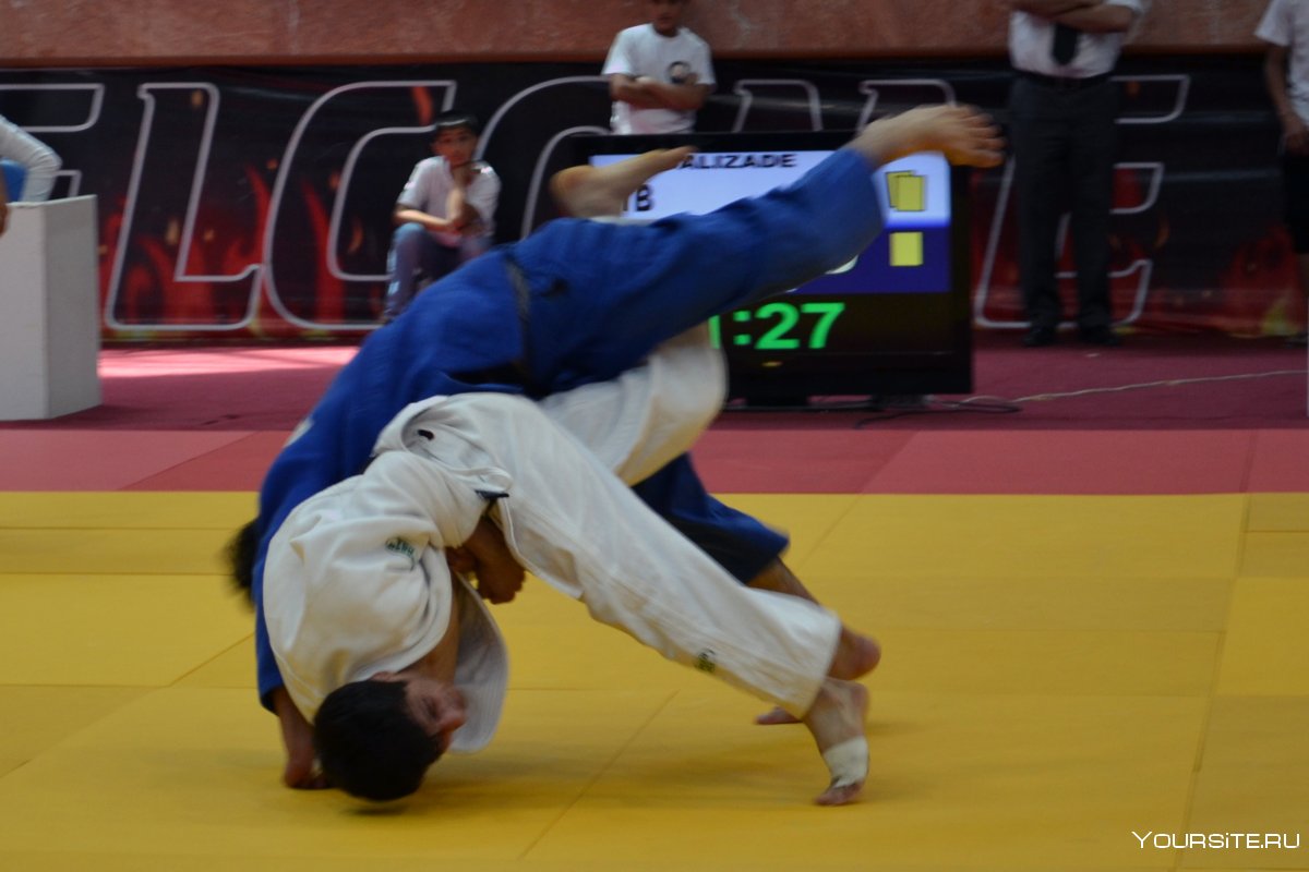 Мировой рейтинг IJF
