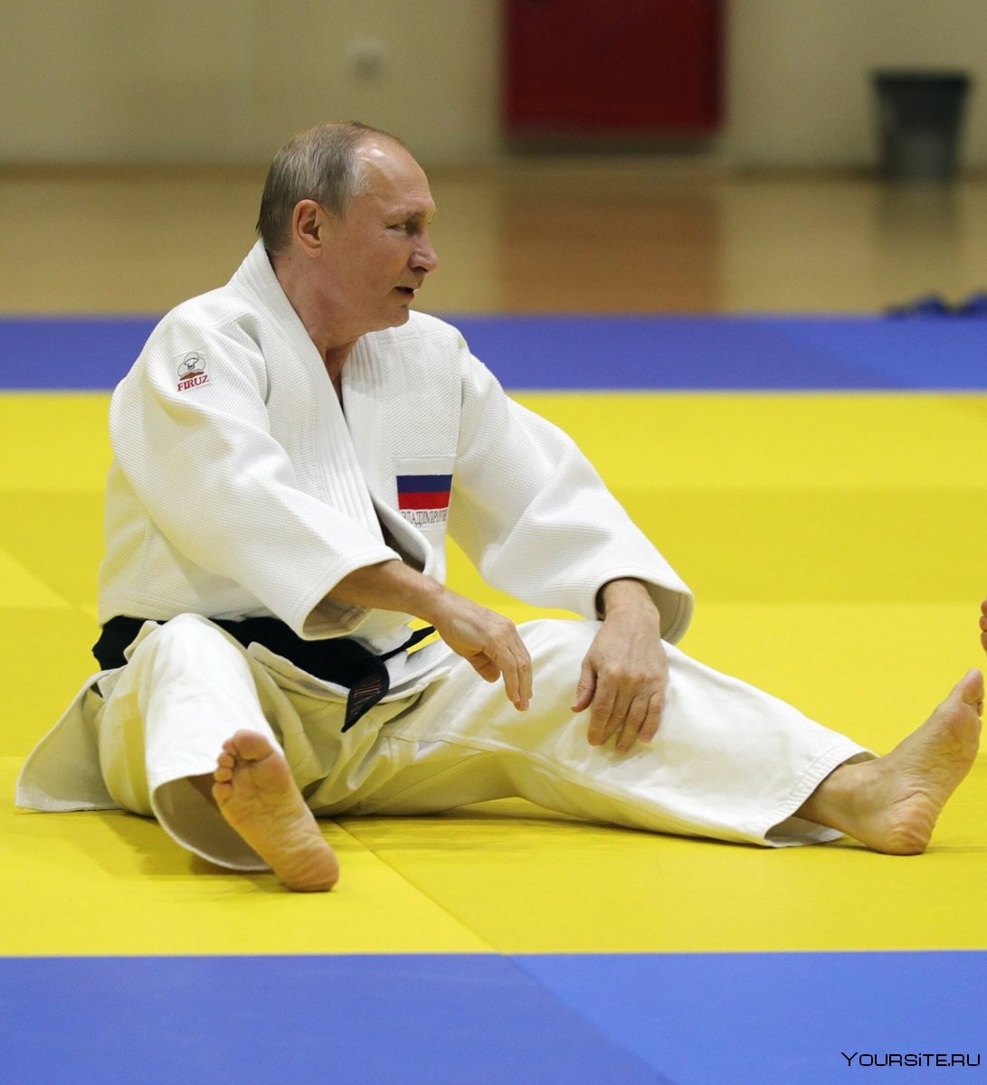 Путин в кимоно Фируз