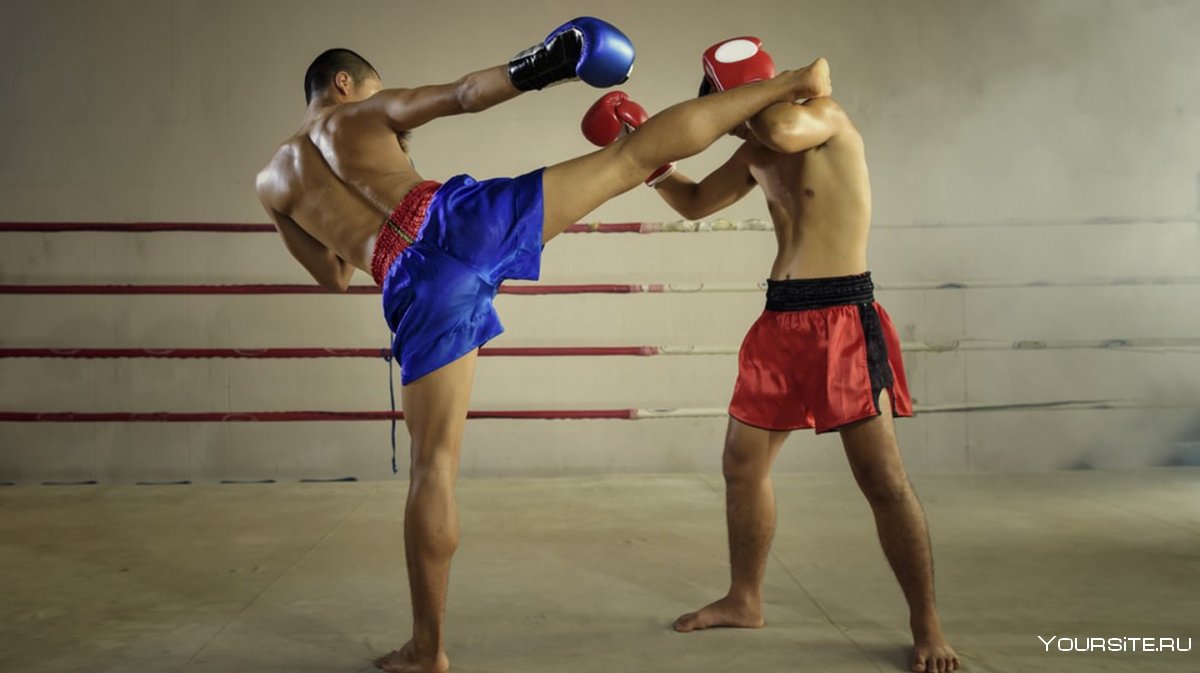 Урок тайского бокса