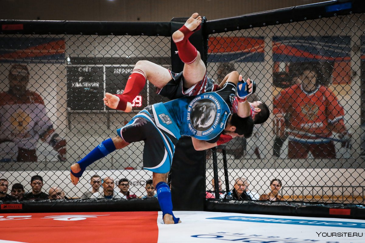 Союз MMA России