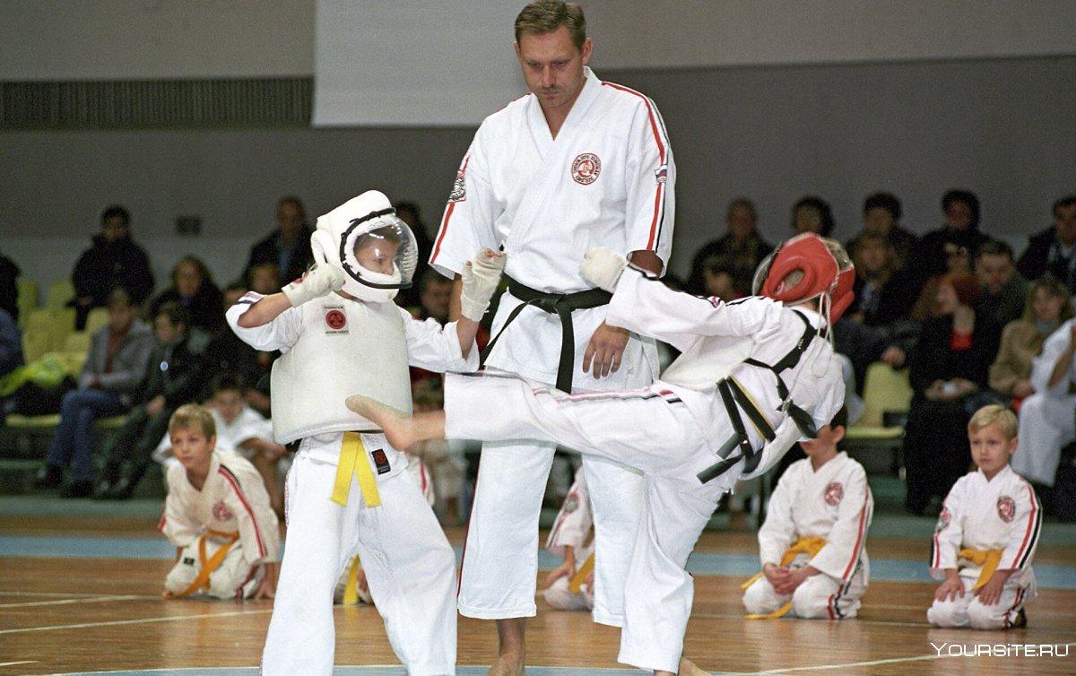 КУДО Fight