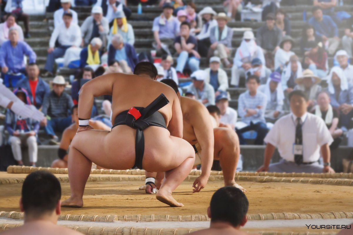 Сумо спорт в Японии