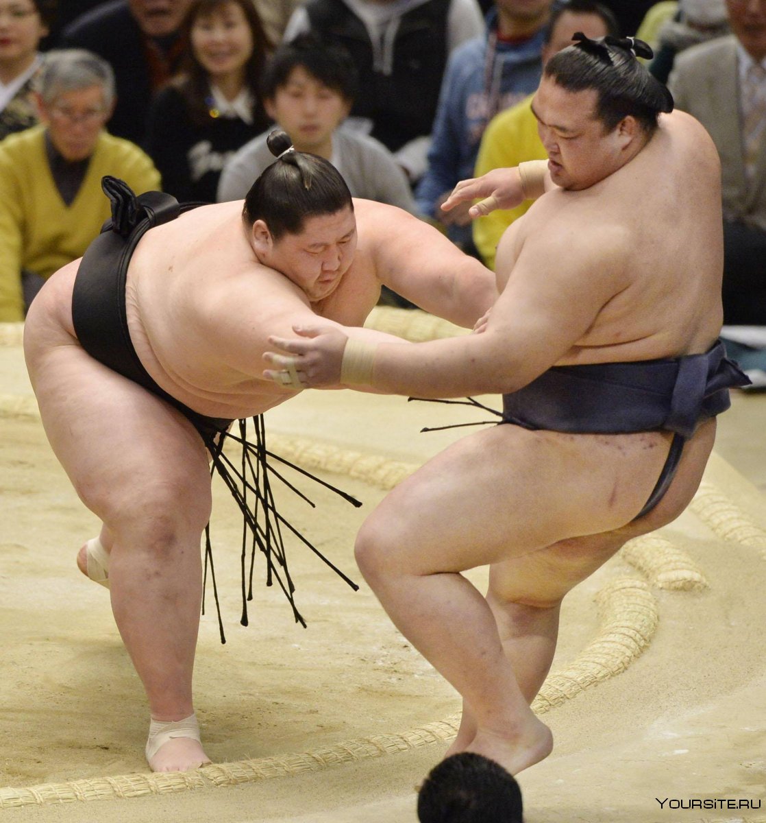 Турниры и Поединки сумо