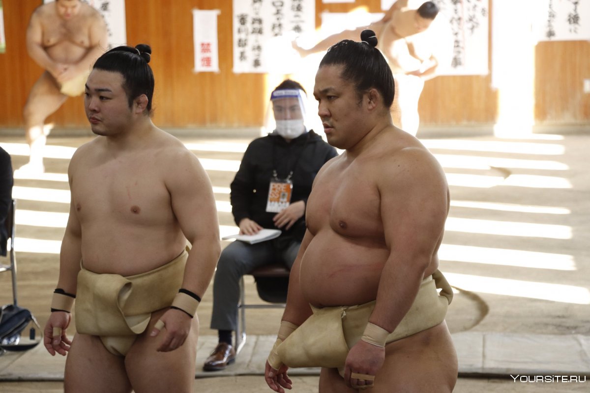 Тренировка сумоистов