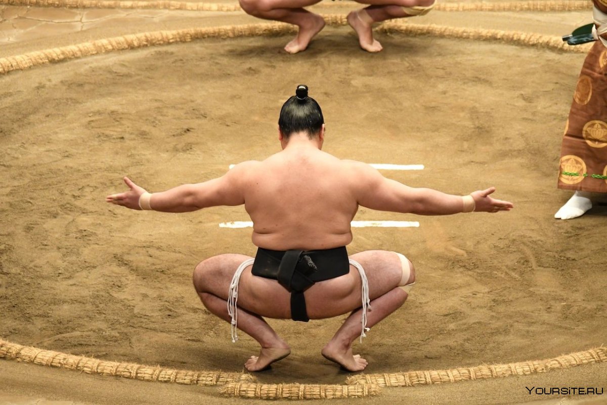 Третий турнир сумо в Токио