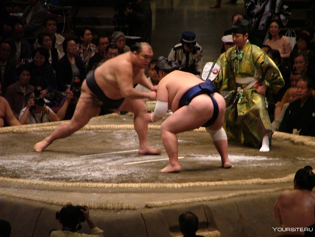 Монгольский японец чемпион сумо