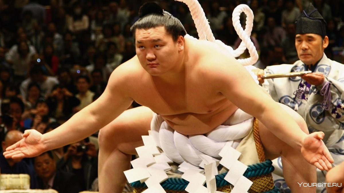 Самый толстый борец сумо