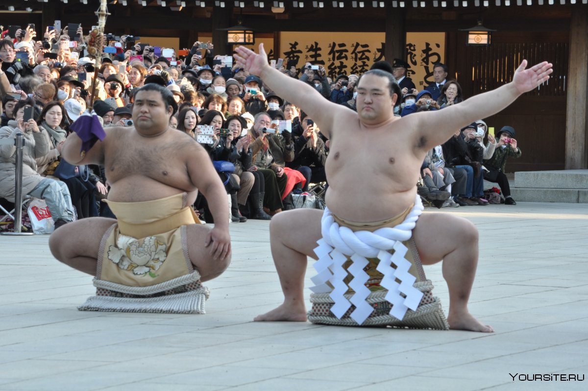 Дети борцы сумо Япония