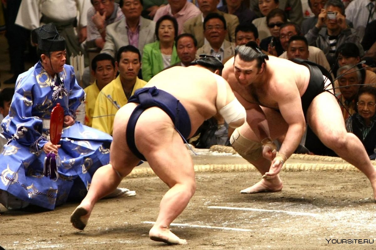 Японская женская борьба сумо