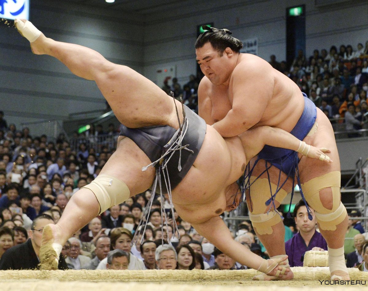 Японские чемпионы сумо