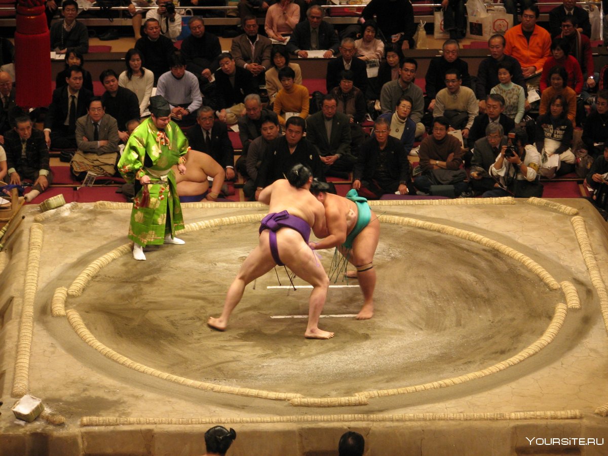 Япония бойцы бойцы сумо