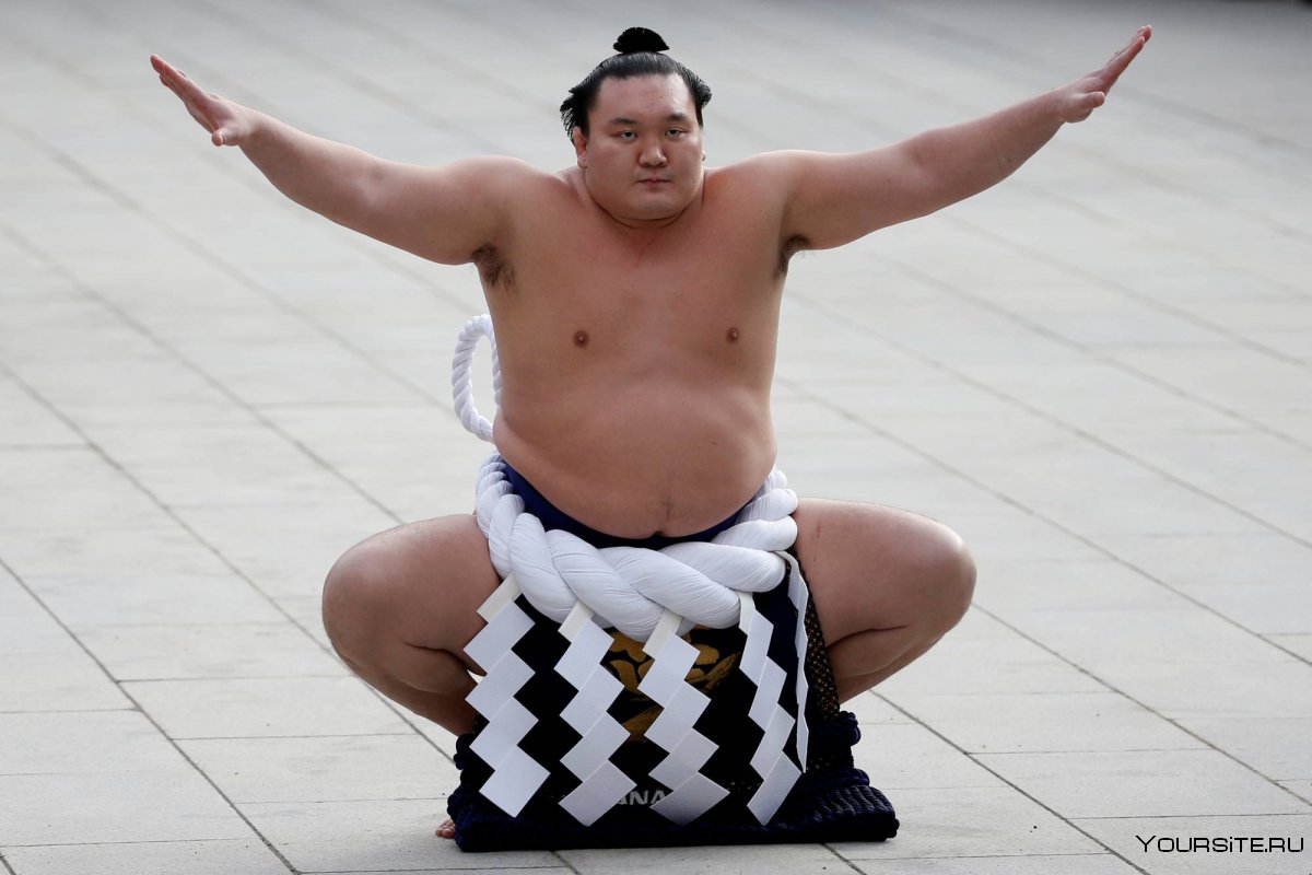 Великий сумоист Хакухо