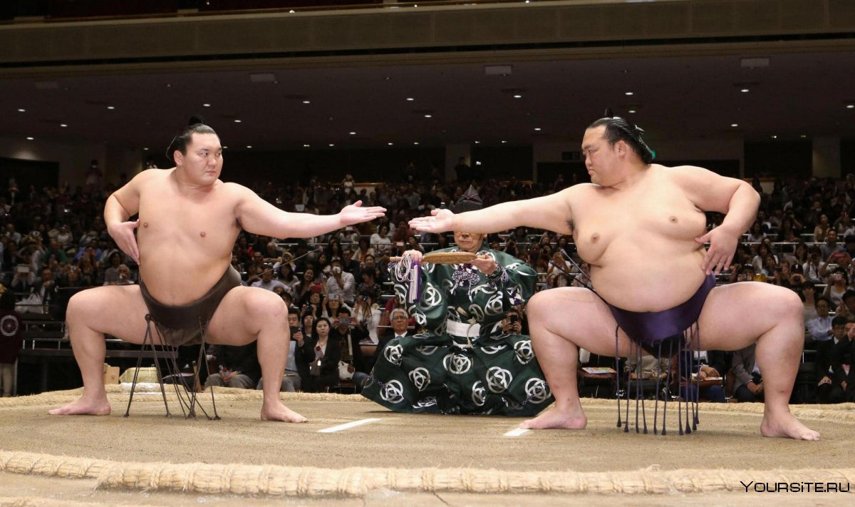Японский борец сумо великан