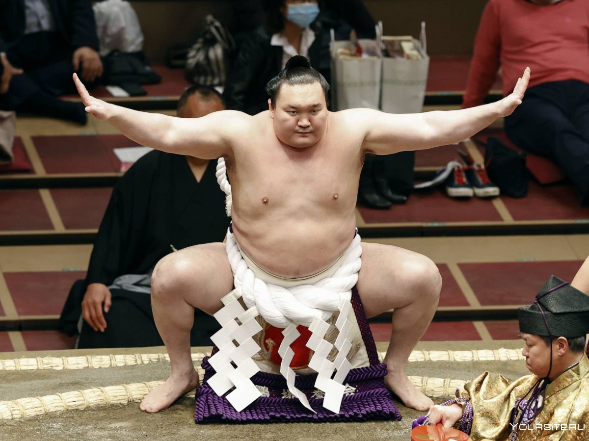 Монгольский японец чемпион сумо