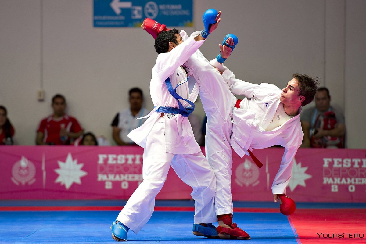 Каратэ WKF кумитэ