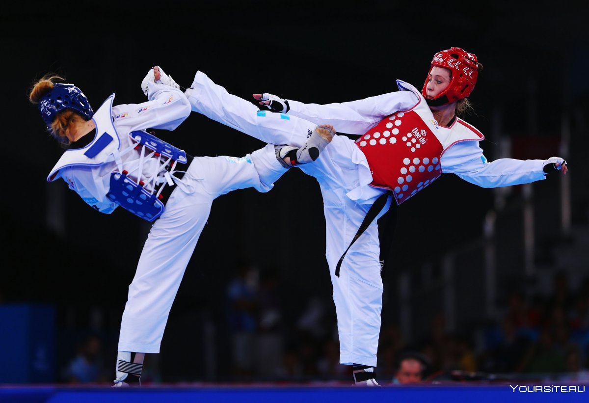 Taekwondo Grand prix