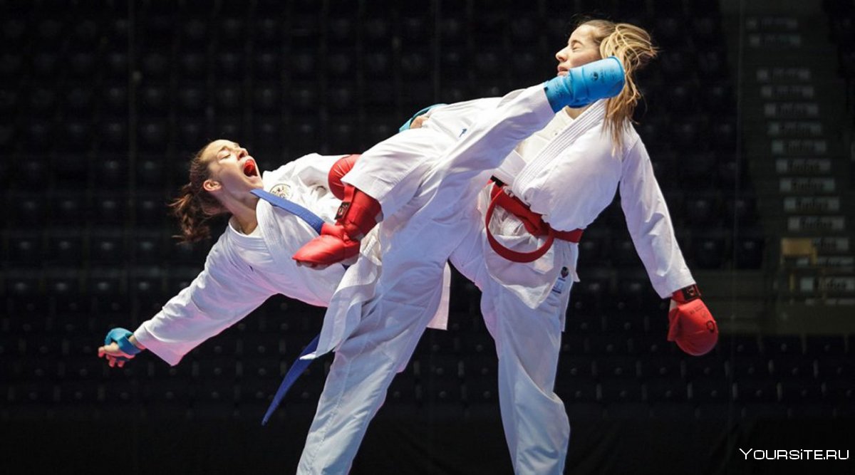 Каратэ WKF кумитэ