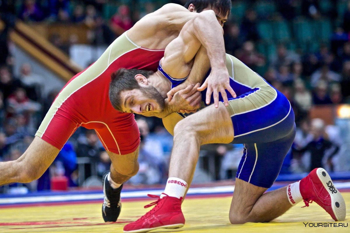 Спорт греко Римская борьба
