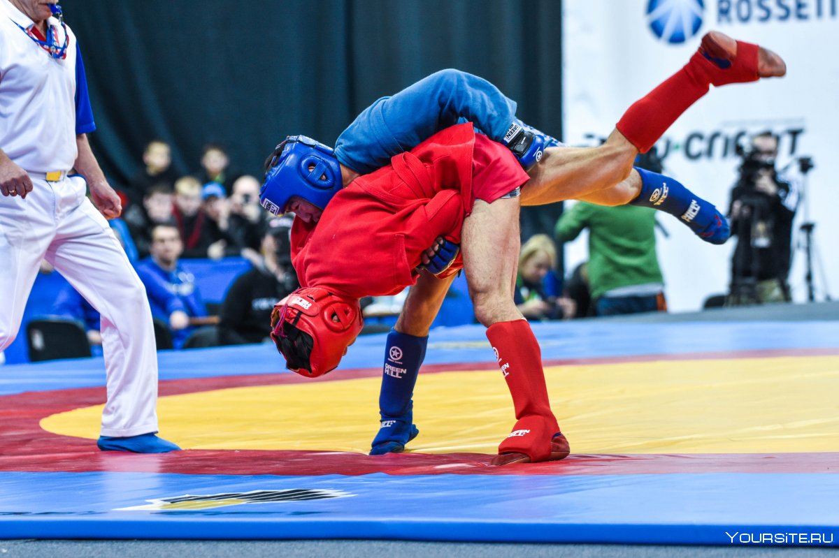 Спорт боевое самбо
