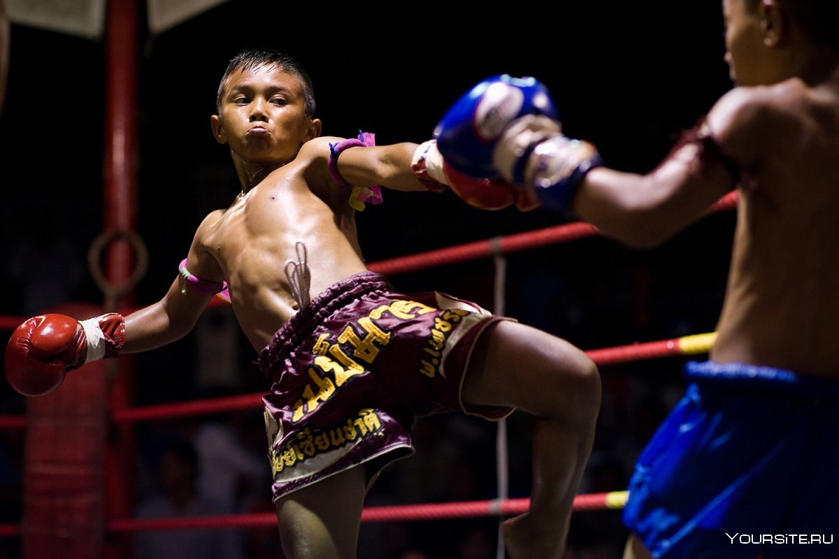 Таиландский бокс (Муай Тай)