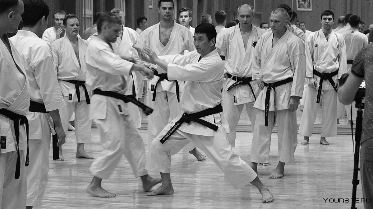 Каратэ Karate 1983
