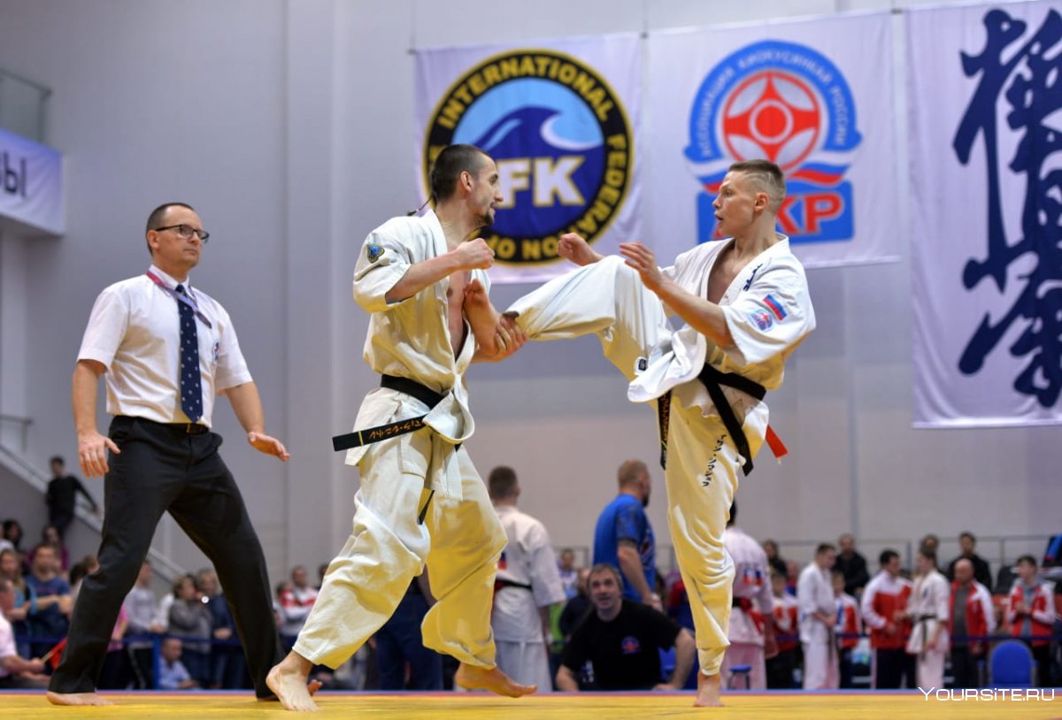 IFK Kyokushin
