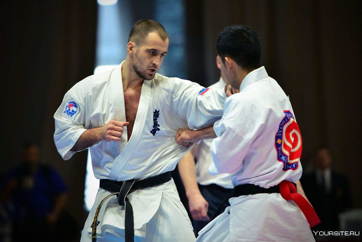 Kyokushin Fight