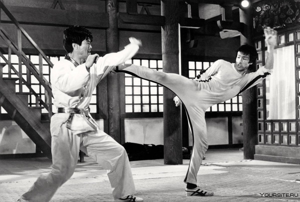 Ji Han Jae hapkido1974