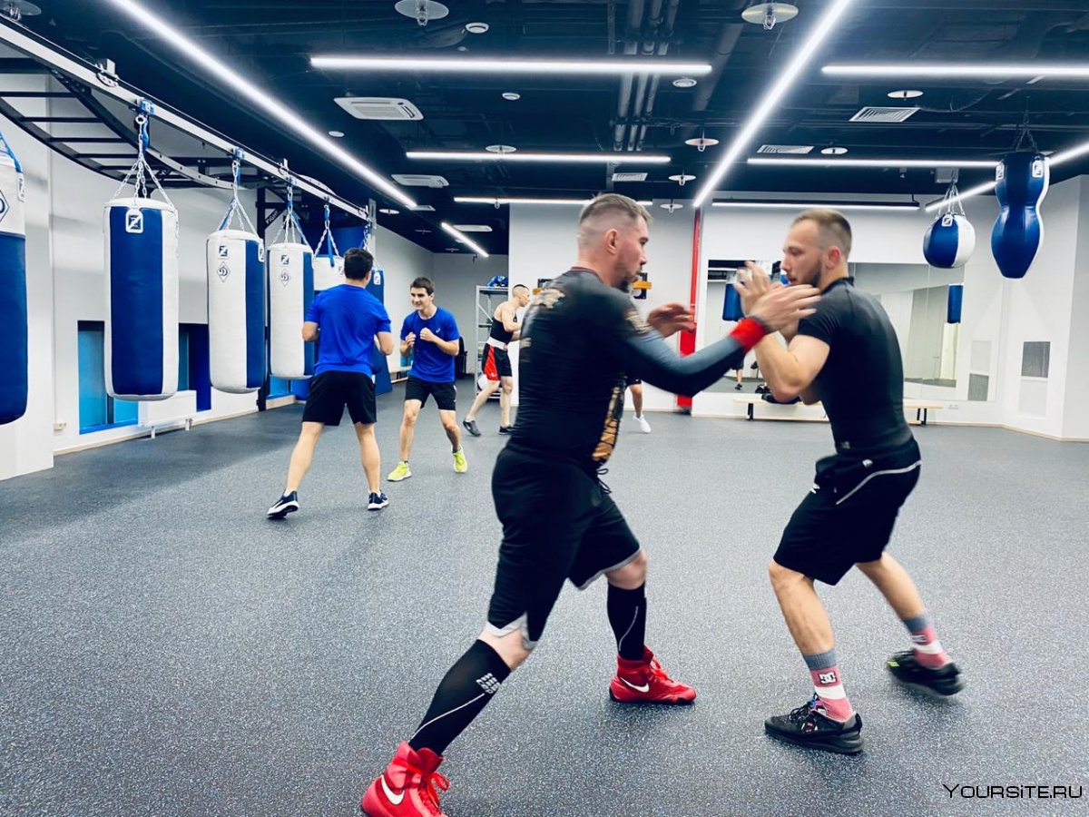 Школа бокса в Москве