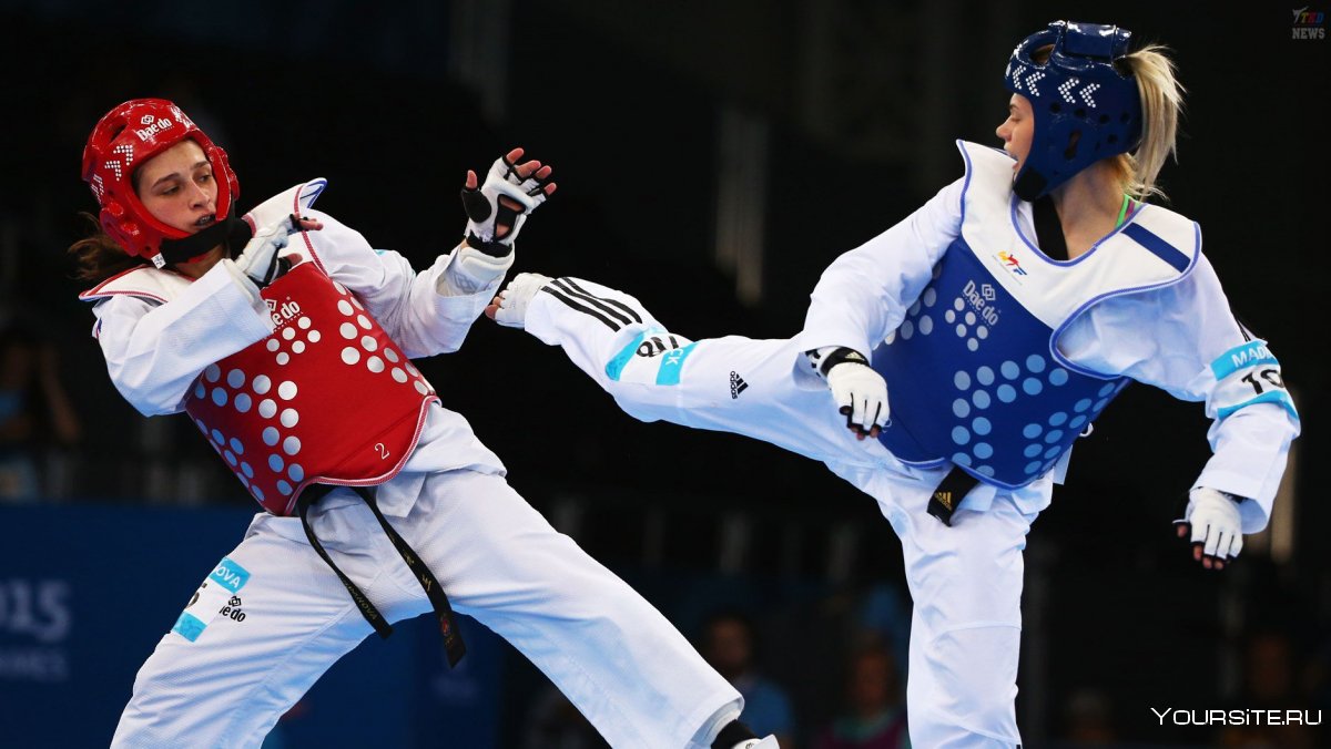 Taekwondo Fight Дмитрий Шокин
