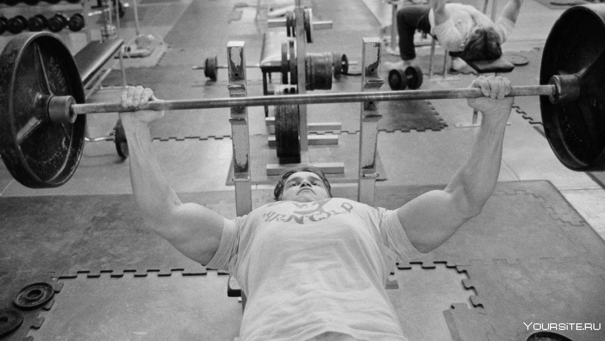 Арнольд Шварценеггер качая железо