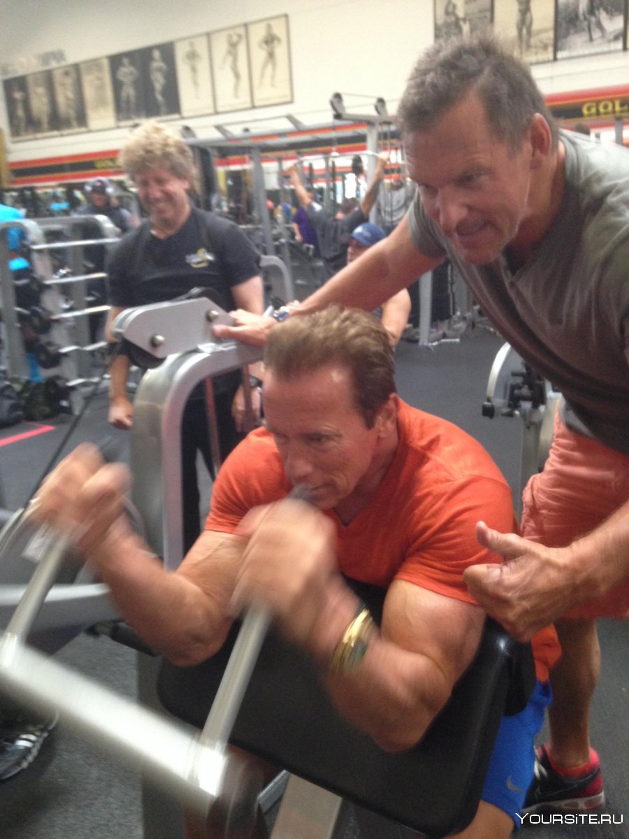 Arnold Schwarzenegger Gym