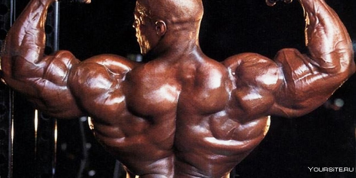 Light Weight Baby Ronnie Coleman