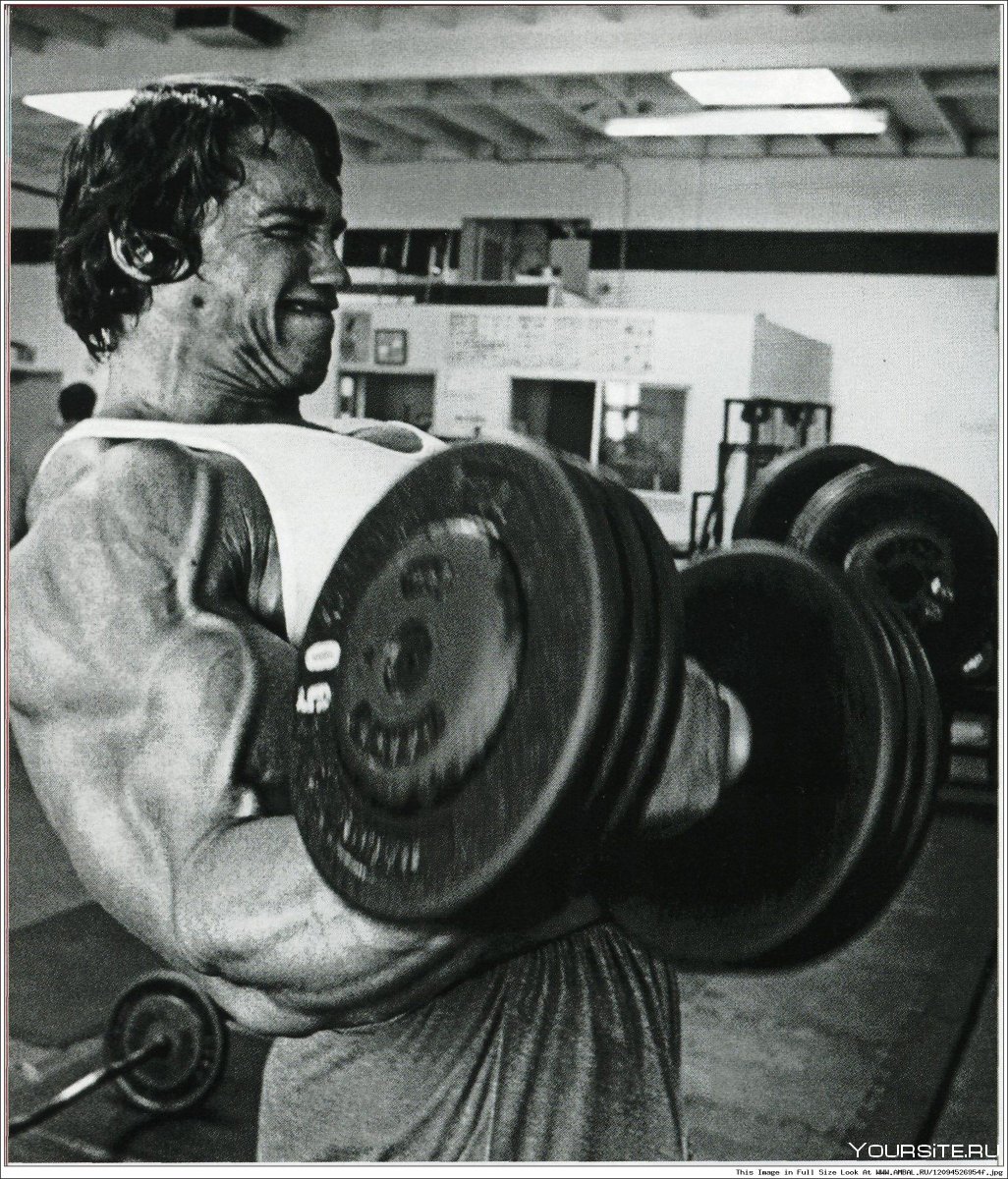 Арнольд Шварценеггер 1984 мускулатура