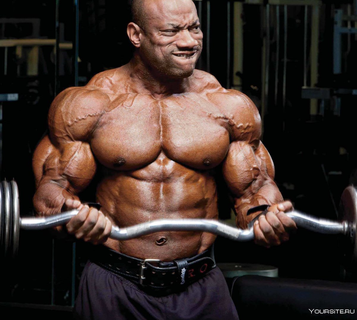 Звезды бодибилдинга