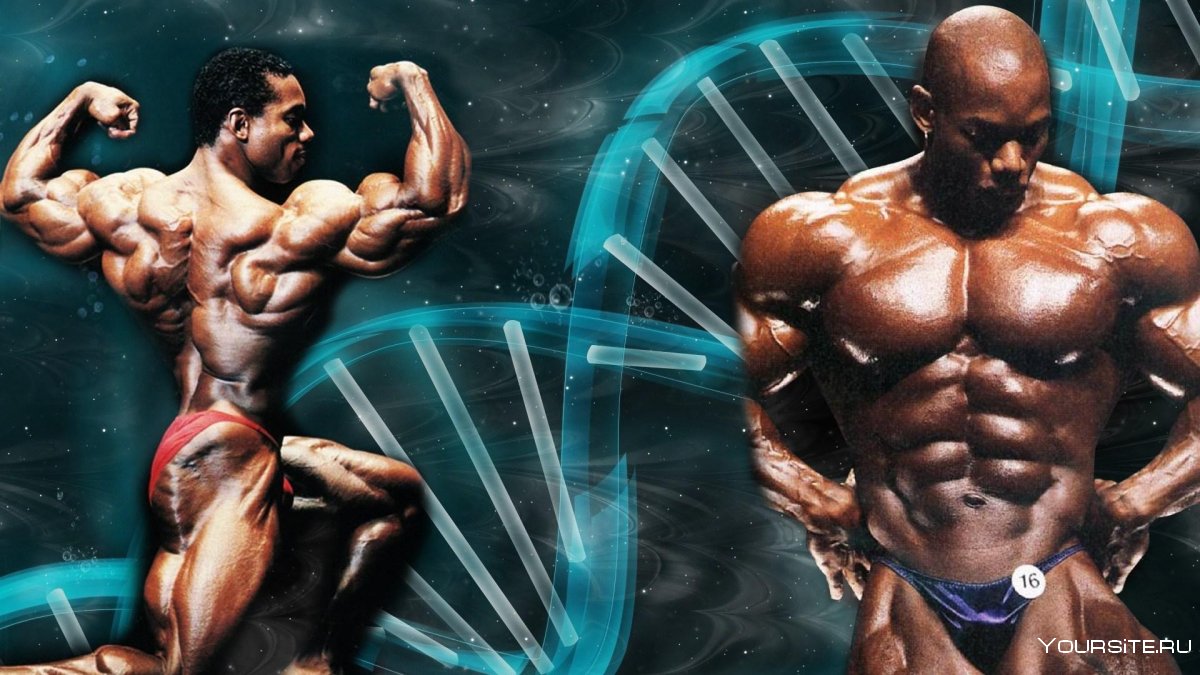 Флекс Уиллер 2021