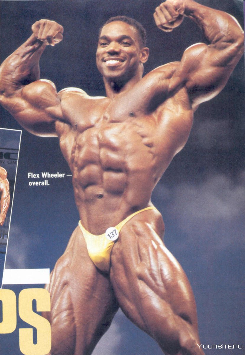 Флекс Уиллер икры