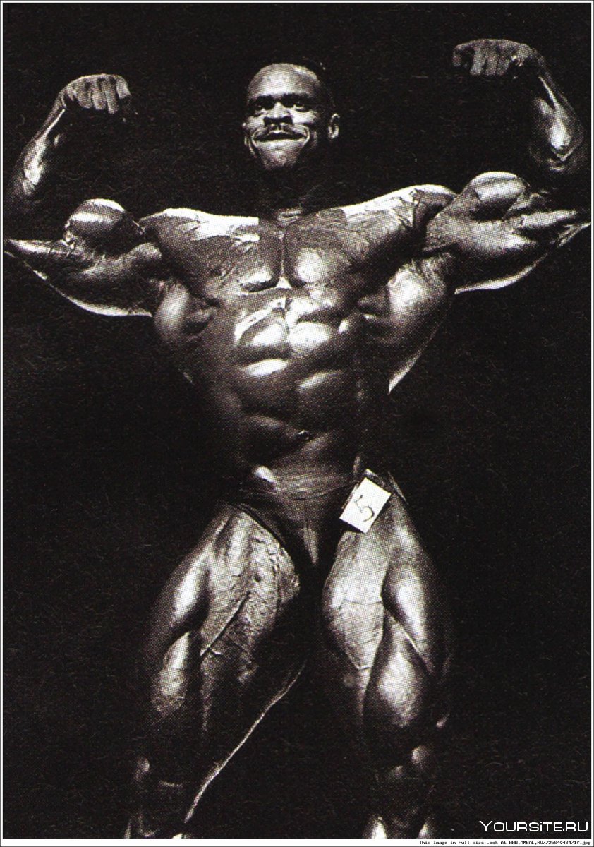 Флекс Уиллер сейчас