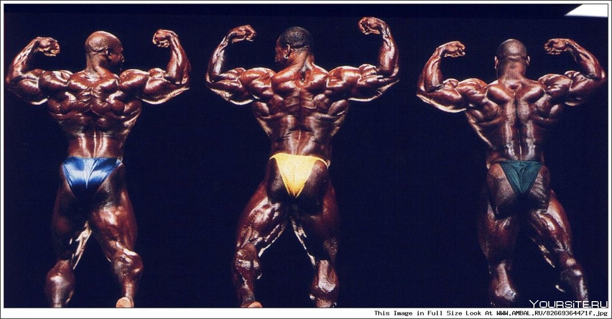 Флекс мускулов дети