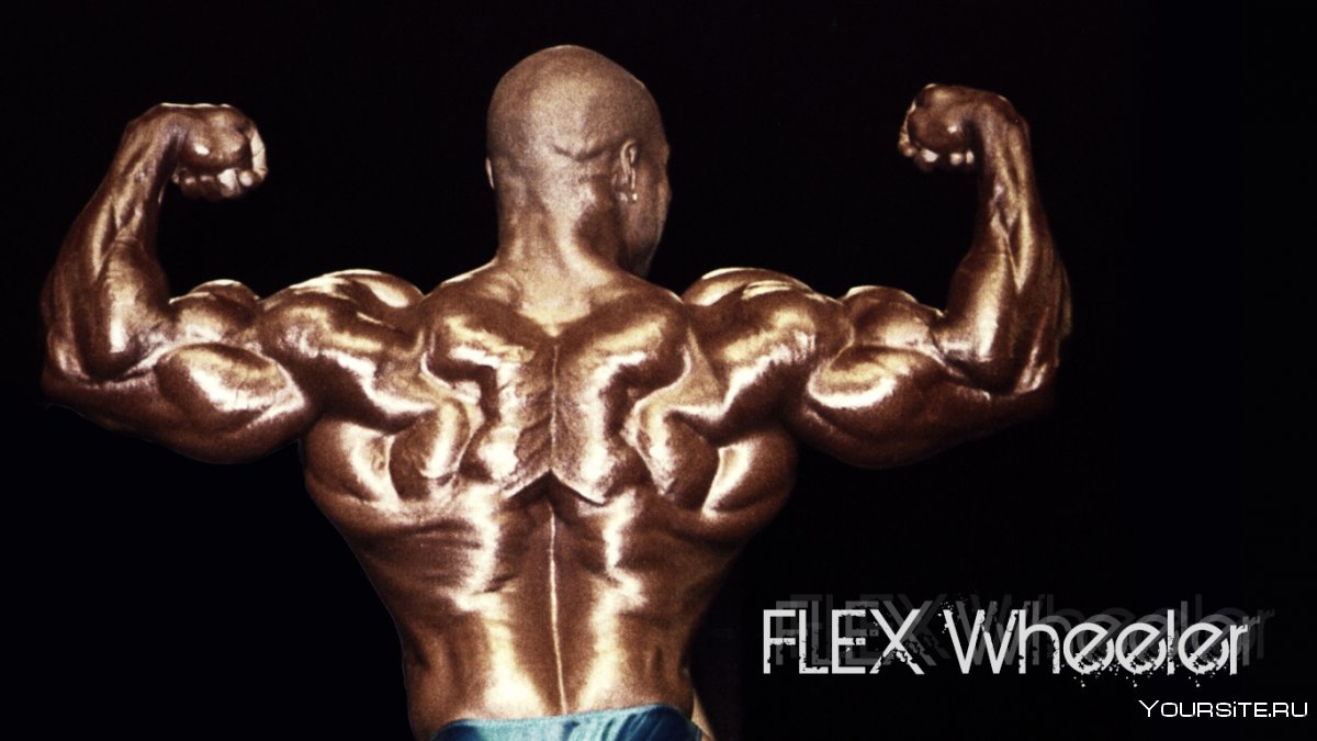 Флекс Уиллер молодой