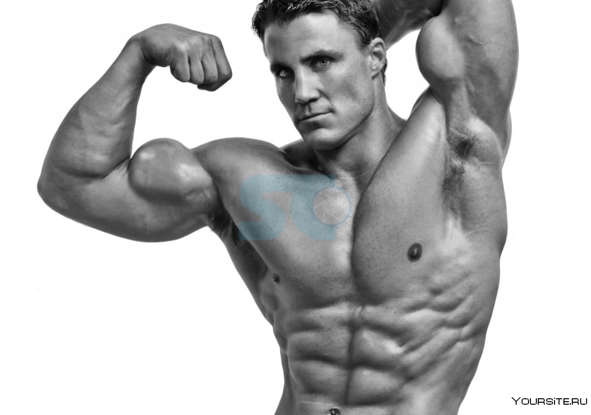 Грег Плитт бодибилдинг