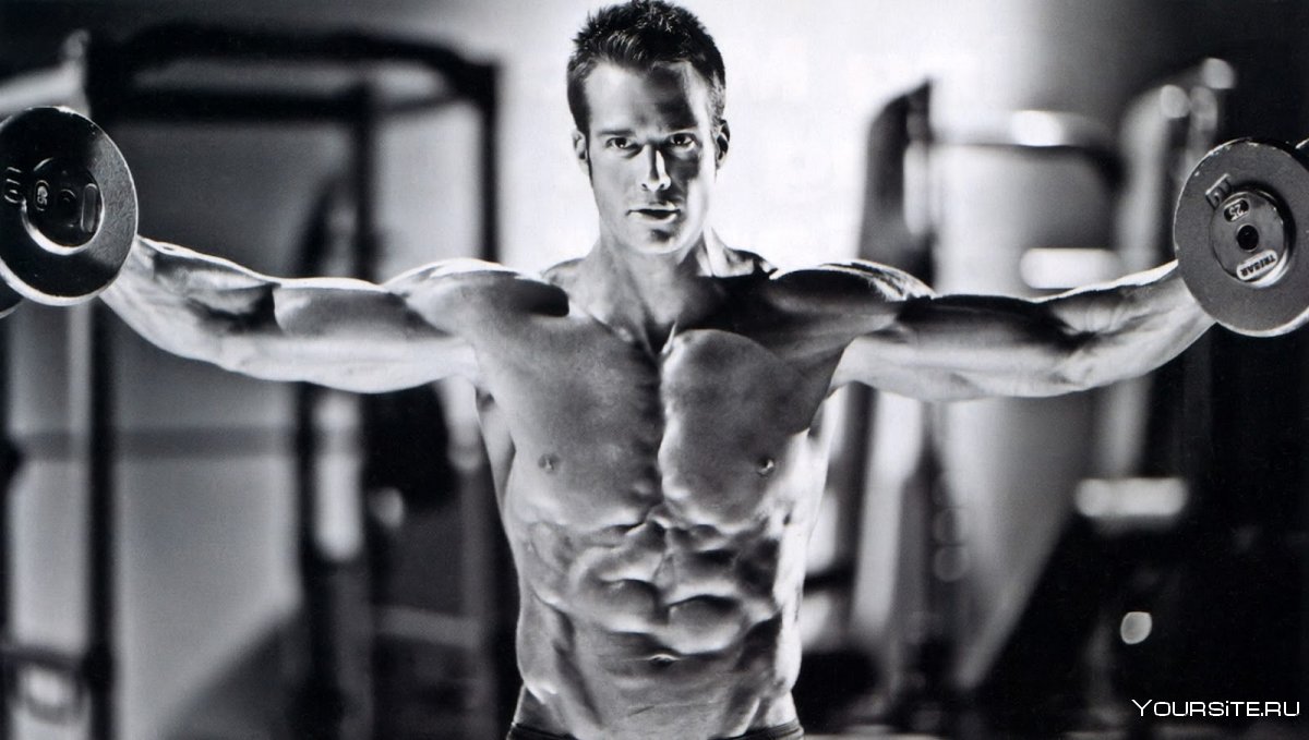 Грег Плитт обои мотивация