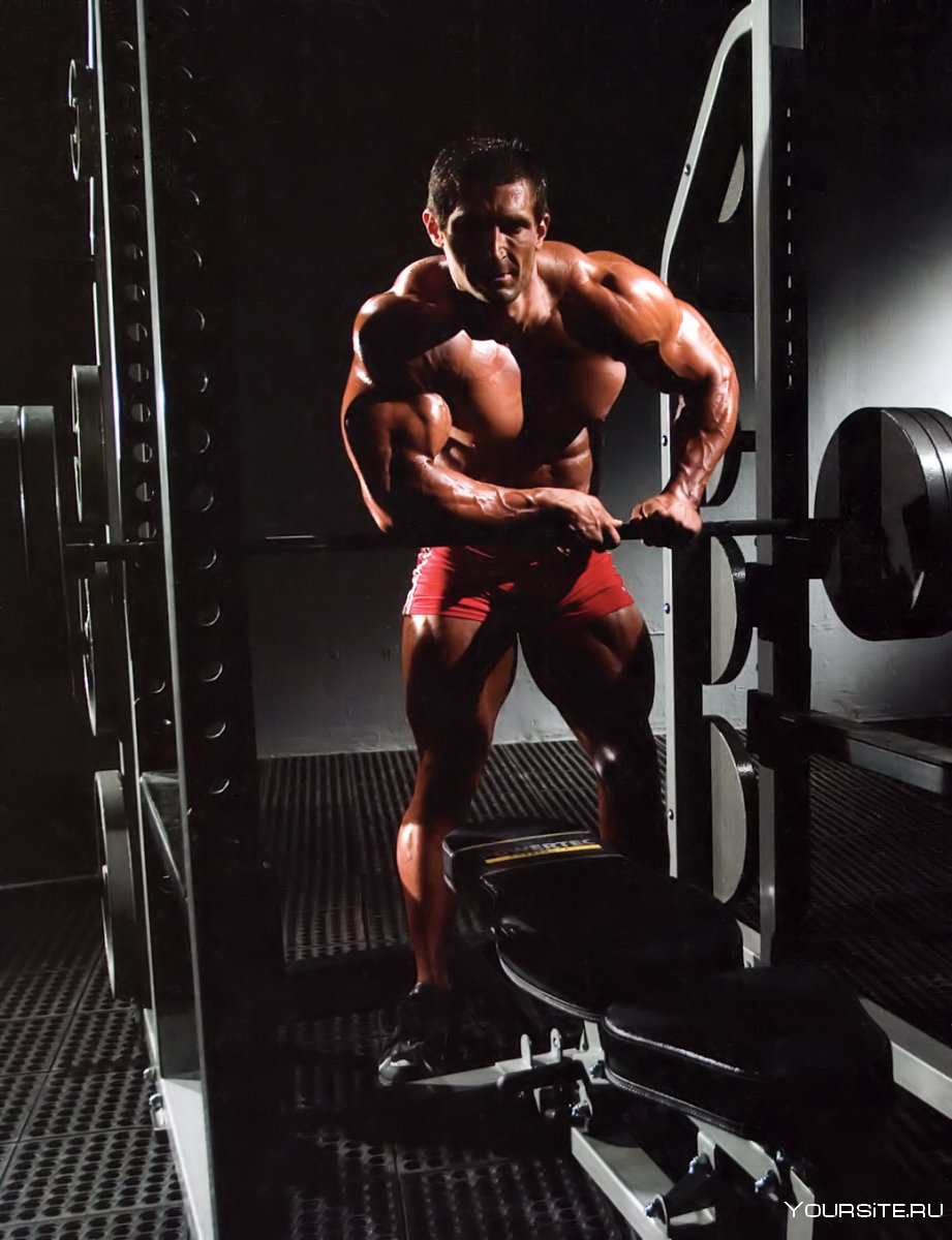 Абель Альбонетти АБС программа бесплатно