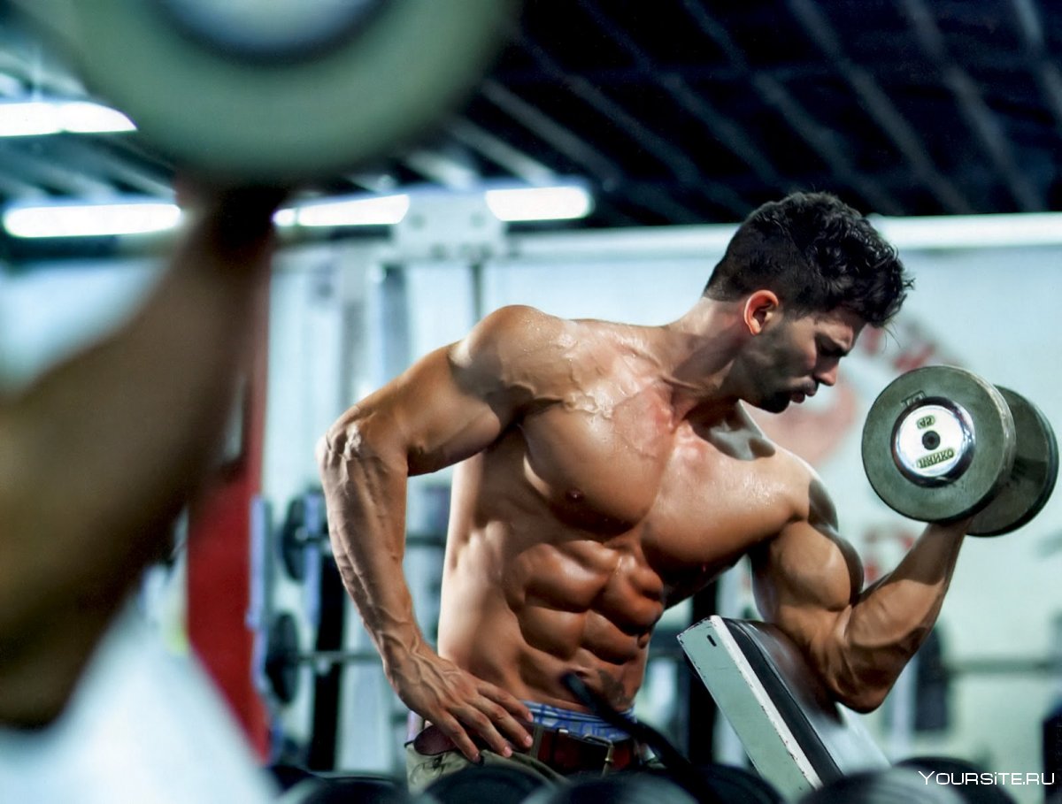 Грег Плитт обои на рабочий стол